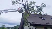dům strom4 GsGdKfcXoAAOatt